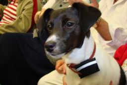 Resize of DSC04341.JPG